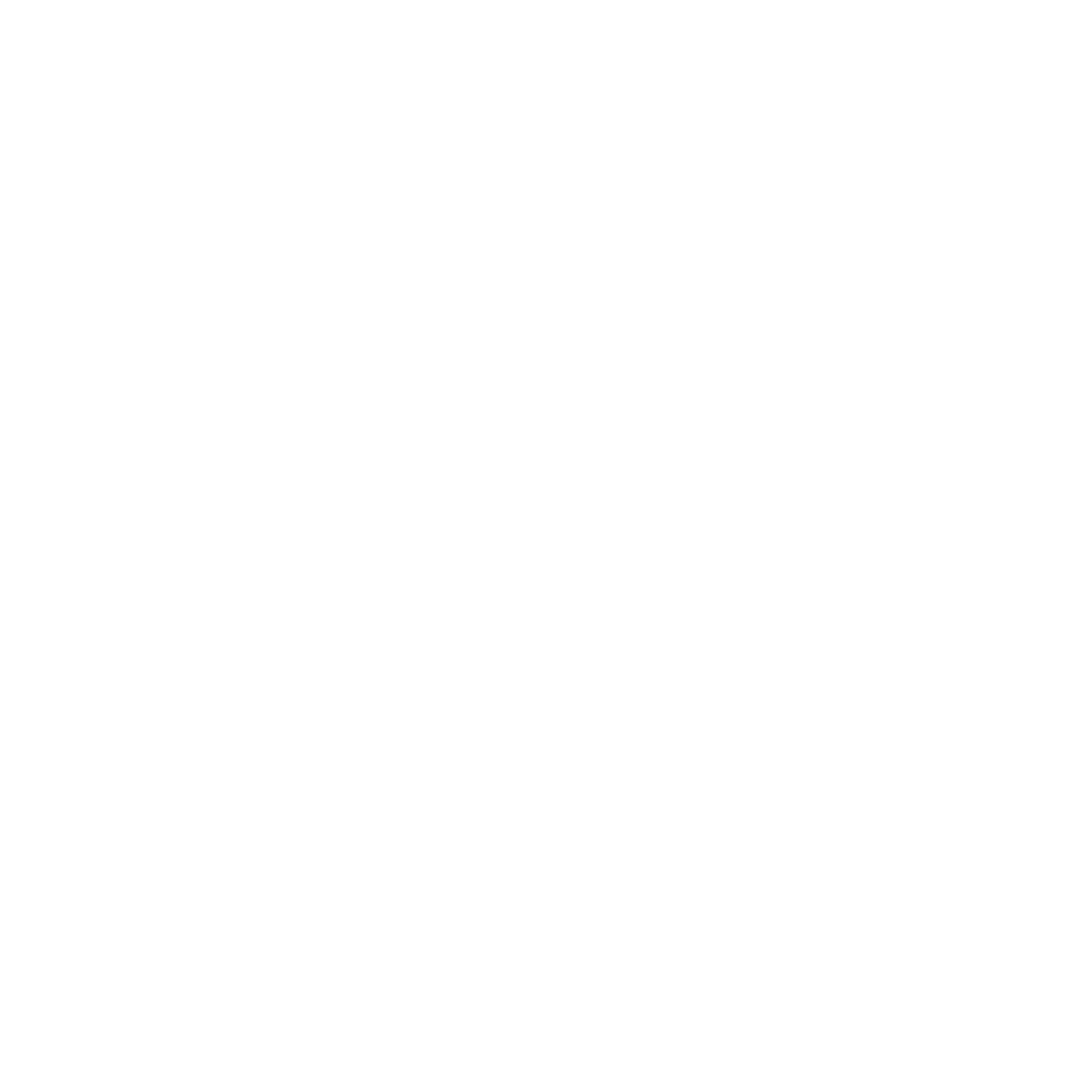 magnify glass icon